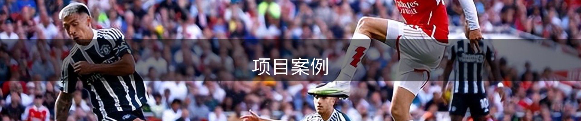 项目案例